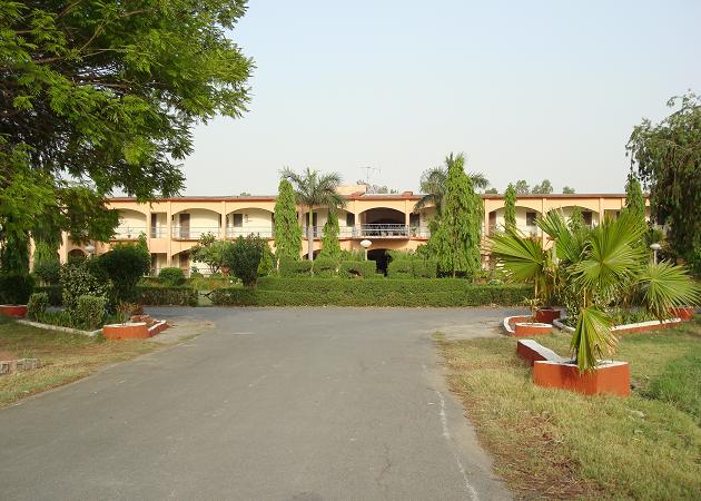 School